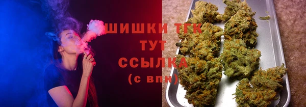 гашик Балахна