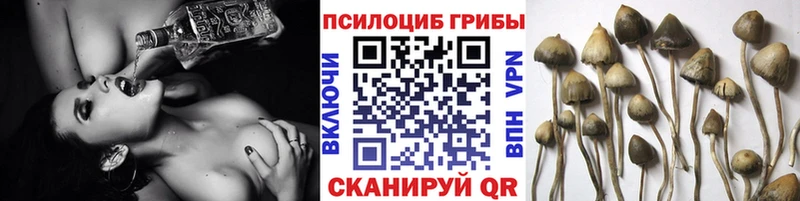 Псилоцибиновые грибы Cubensis  купить закладку  Верхнеуральск 