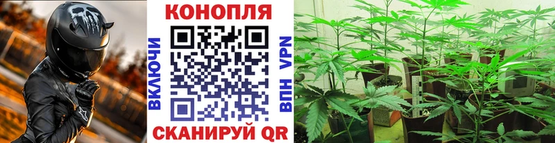 Шишки марихуана планчик  даркнет сайт  Верхнеуральск 
